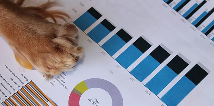 Pandemic Notwithstanding, U.S. Pet Market Surges Past $100 Billion