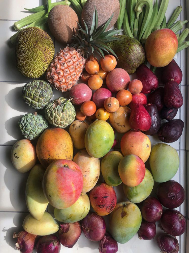 An Organic Fruit Gift Box is the #1 Best Gift for the Holidays