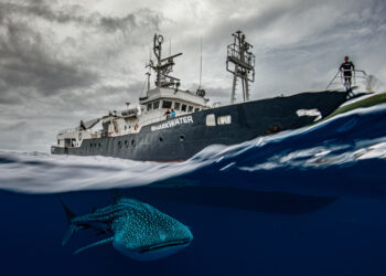 MÍRAME Fine Art Showcases Costa Rica's Top Photographers