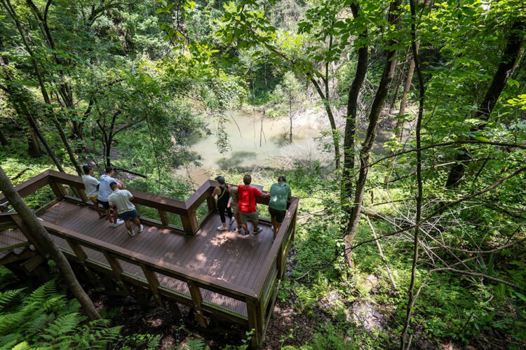 Beat the Heat: Discover Florida's Top Outdoor Destinations for a Cool Summer Escape